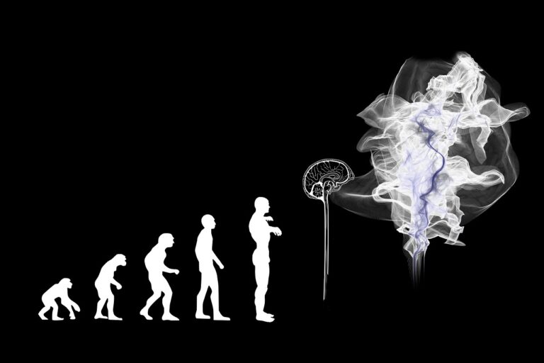 The Bias Against Biases – An Evolutionary Perspective